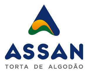 Assan logomarca alternativa